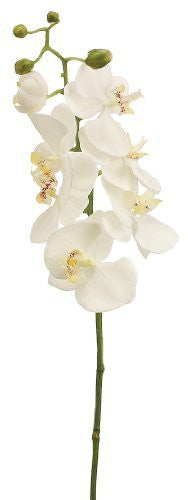 28" Artificial Phalaenopsis Orchid Spray, White Yellow