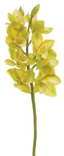 28" Artificial Cymbidium Orchid Spray, Green