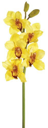 31" Artificial Cymbidium Orchid Spray, Yellow Burgundy