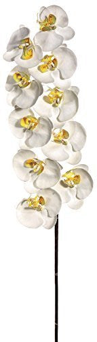 41" Large Phalaenopsis Orchid Spary, Cream White