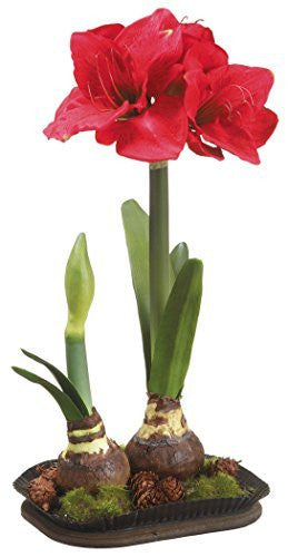 20" Artificial Amaryllis in Tin Pot with Pin Cone, Red