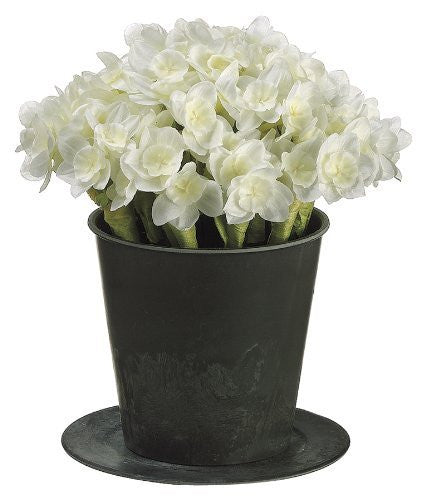 7.5" Artificial Paperwhite in Plastic Pot, White