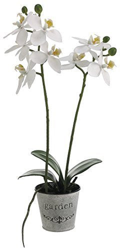 15" Artificial Mini Phalaenopsis Plant in Tin Pot, White