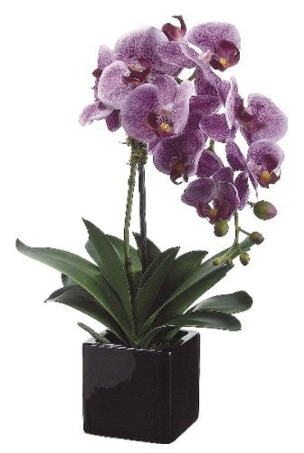 20" Artificial Phalaenopsis Orchid Plant in Ceramic Pot, Violet