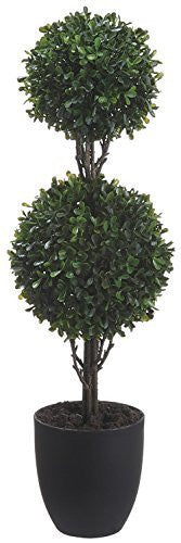 25" Boxwood Double Ball Topiary w/281 Lvs. in Plastic Pot Green