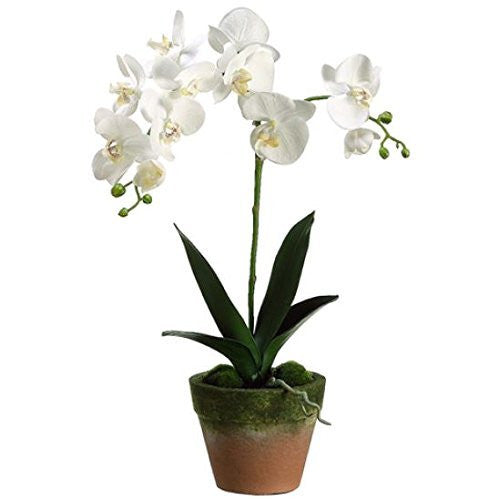 24" Artificial Phalaenopsis Plant in Ceramic Pot, White Yellow