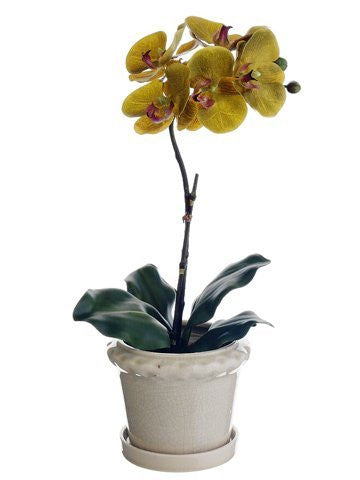 16" Artificial Phalaenopsis Plant in Pot, Olive Green Color