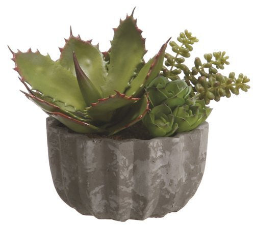 7.5" Artificial Succulent Garden in Cement Pot