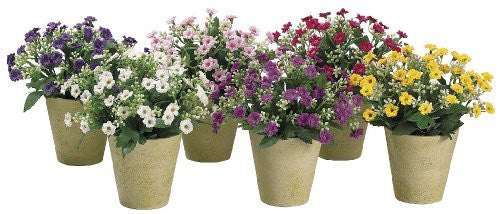 8" Artificial Sweet William in Pot, Set of 6 Assorted Colors