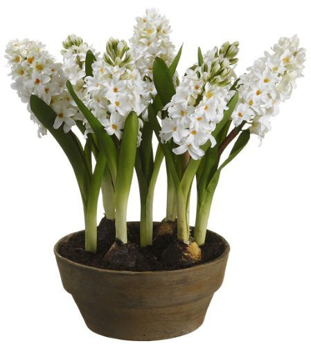 16" Artificial Hyacinth with Bulb in Paper Mache Pot, White