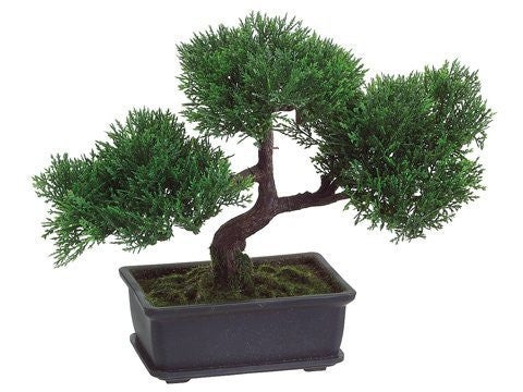 9" Artifical Cedar Bonsai in Rectangular Brown Pot