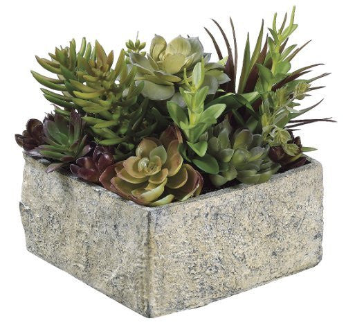 8" Artificial Succulent Garden in Paper Mache Pot